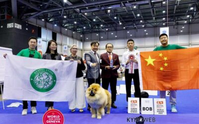 World Dog Show Genève – Palexpo 27. August 2023